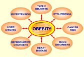Image result for Being overweight, not just obese, carries a lot of serious health risks